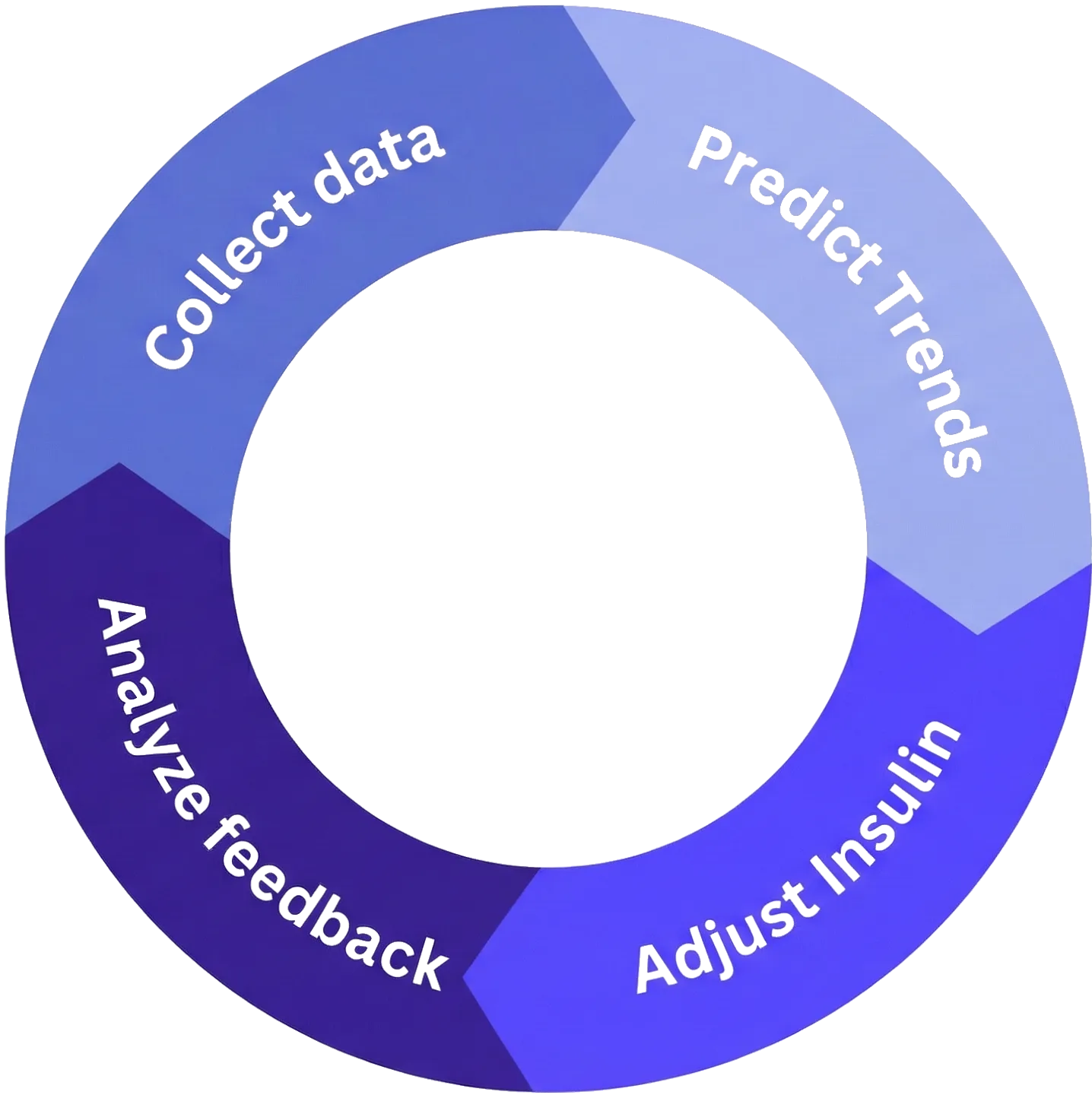 Learning Loop